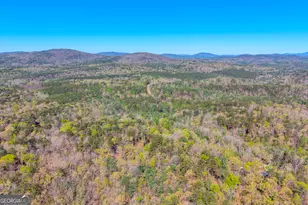 108 Dodge Ln, Lakemont, GA 30552 - Photo 115