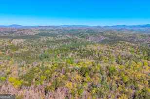 108 Dodge Ln, Lakemont, GA 30552 - Photo 113