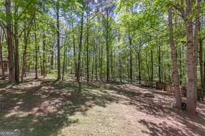 230 Winchester Drive, Sharpsburg, GA 30277 - Photo 39