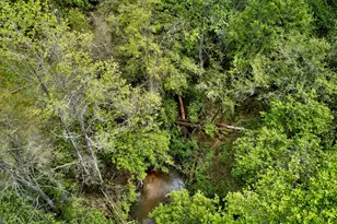 7142 Hamilton Rd, Pine Mountain, GA 31822 - Photo 55