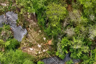 7142 Hamilton Rd, Pine Mountain, GA 31822 - Photo 63