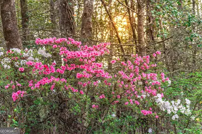 742 Beaver Run Road #16, Blairsville, GA 30512 - Photo 5