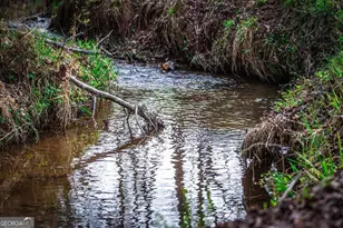 2669 Weaver Creek Rd, Blue Ridge, GA 30513 - Photo 69