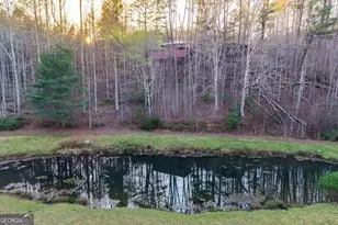 2669 Weaver Creek Rd, Blue Ridge, GA 30513 - Photo 73