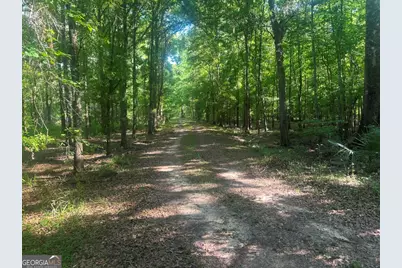 0 Old Poor Robin Road, Sylvania, GA 30467 - Photo 15