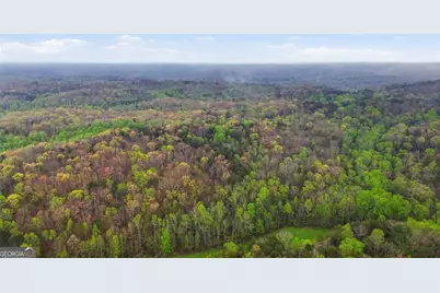 0 Fern Valley Road, Dawsonville, GA 30534 - Photo 3