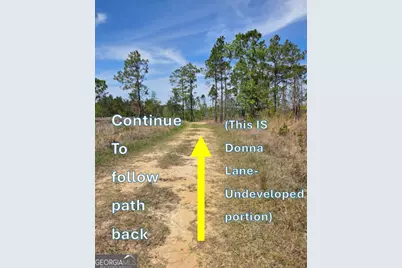 00 Serenity Lane, Vidalia, GA 30474 - Photo 3