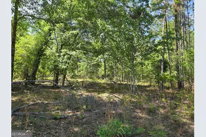 00 Serenity Lane, Vidalia, GA 30474 - Photo 19