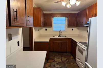 313 Carter St, Greenville, GA 30222 - Photo 11