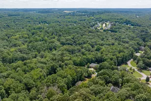 1406 Lull Water Ct, Hoschton, GA 30548 - Photo 93