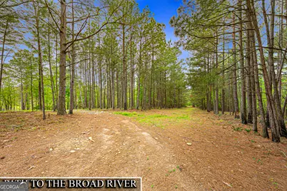 630 Human Road, Bowman, GA 30624 - Photo 35