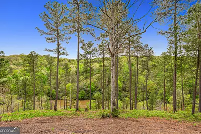 630 Human Road, Bowman, GA 30624 - Photo 31