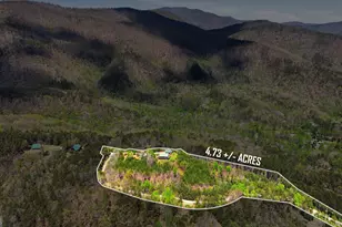 378 Matadore Vis, Sautee Nacoochee, GA 30571 - Photo 3