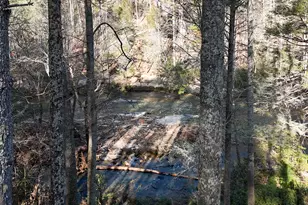 499 Old Deer Path Way, Cleveland, GA 30528 - Photo 25