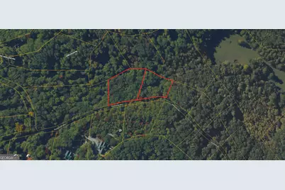 0 Picklesimer Mtn Trail, Morganton, GA 30560 - Photo 3