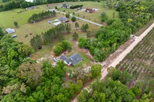 5113 Allen Walker Rd, Blackshear, GA 31516 - Photo 17