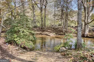 1949 Big Pine Dr, Hiawassee, GA 30546 - Photo 53