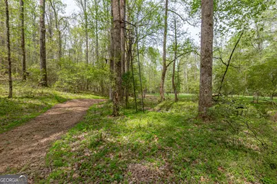 7350 Ono Road, Palmetto, GA 30268 - Photo 85