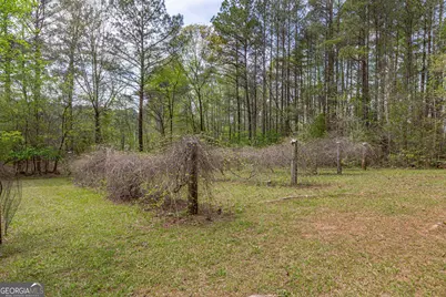 7350 Ono Road, Palmetto, GA 30268 - Photo 93