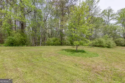 7350 Ono Road, Palmetto, GA 30268 - Photo 81