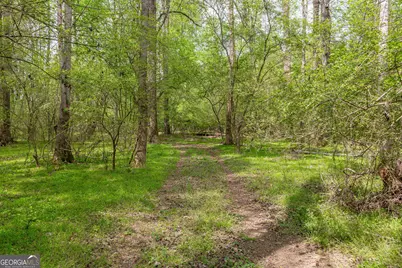 7350 Ono Road, Palmetto, GA 30268 - Photo 87