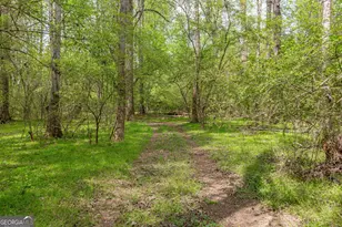 7350 Ono Rd, Palmetto, GA 30268 - Photo 87