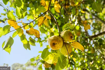 7350 Ono Road, Palmetto, GA 30268 - Photo 49