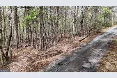 0 Shenandoah Drive, Cleveland, GA 30528 - Photo 5