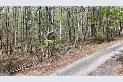 0 Shenandoah Drive, Cleveland, GA 30528 - Photo 3