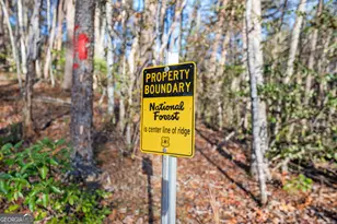 121 Waterfalls Wy, Clarkesville, GA 30523 - Photo 53