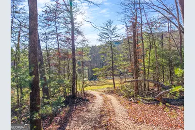 121 Waterfalls Way, Clarkesville, GA 30523 - Photo 13