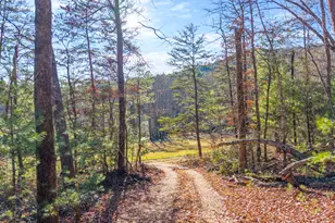 121 Waterfalls Wy, Clarkesville, GA 30523 - Photo 13