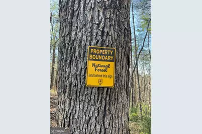 445 Glade Road, Clayton, GA 30525 - Photo 7