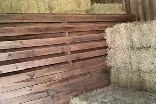 445 Glade Rd, Clayton, GA 30525 - Photo 17