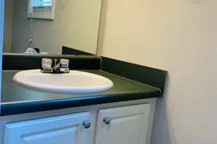 325 Barrington Grange Dr, Sharpsburg, GA 30277 - Photo 17