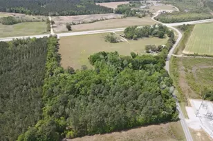 3728 N Hwy 1, Midville, GA 30441 - Photo 9