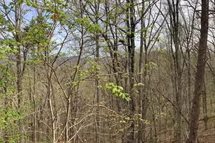 7026 Peebles Rd, Young Harris, GA 30582 - Photo 23