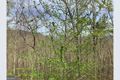 7026 Peebles Road, Young Harris, GA 30582 - Photo 25