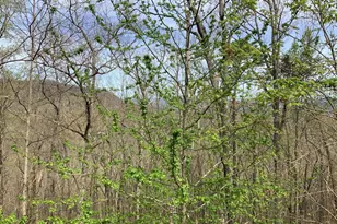 7026 Peebles Rd, Young Harris, GA 30582 - Photo 25