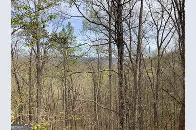 7026 Peebles Road, Young Harris, GA 30582 - Photo 27