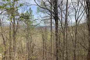 7026 Peebles Rd, Young Harris, GA 30582 - Photo 27