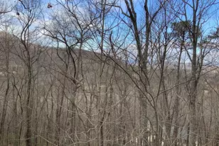 7026 Peebles Rd, Young Harris, GA 30582 - Photo 29