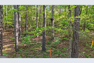0 Union Church Road, Fort Valley, GA 31030 - Photo 29