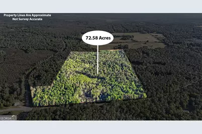 0 Union Church Road, Fort Valley, GA 31030 - Photo 3