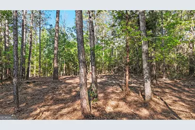 0 Union Church Road, Fort Valley, GA 31030 - Photo 23