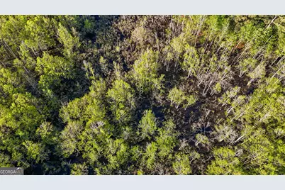 0 Union Church Road, Fort Valley, GA 31030 - Photo 17