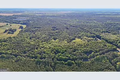 0 Union Church Road, Fort Valley, GA 31030 - Photo 13