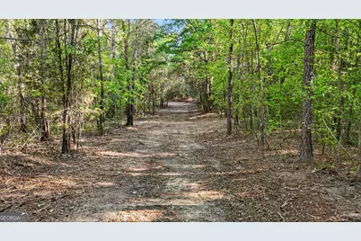 0 Union Church Road, Fort Valley, GA 31030 - Photo 25