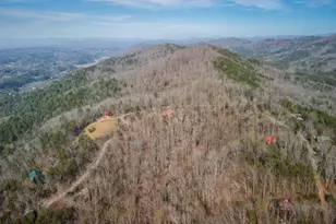 766 Laurel Ridge Dr, Blue Ridge, GA 30513 - Photo 35