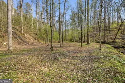 434 Lemmon Drive #384,373,4,, Ellijay, GA 30540 - Photo 47